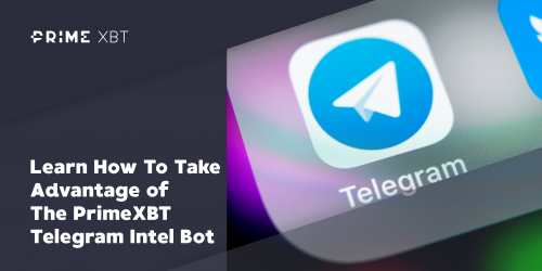 Learn How To Take Advantage of The Exnes Market View Telegram Intel Bot - 2019 12 11 19.43.30 e1591860749995