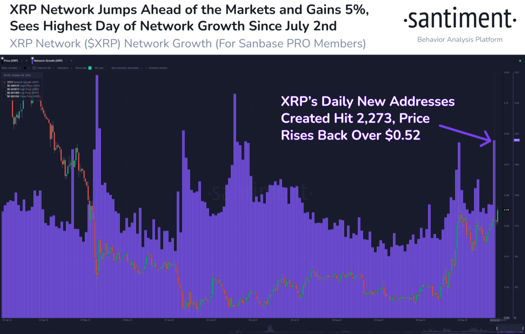 Market Research Report: Stock Bulls Soured by Payrolls Beat, Oil Surges on Production Cut, XRP Outperforms Market - XRP 1024x651